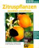 GU-zitruspflanzen
