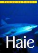 Haie
