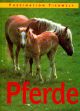 Pferde