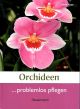 bassermann-orchideen