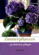 bassermann-zimmerpflanzen