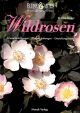 mosaik-wildrosen