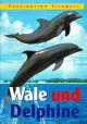 wale-und-delphine